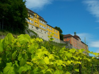 Staatsweingut Meersburg, Lake Konstanz